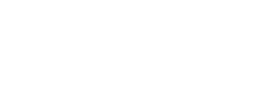 Logo QDL Physio Branco -Footer